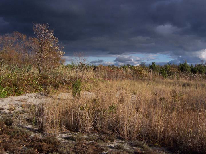 stormy days ahead.