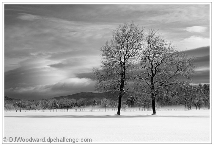 After The Storm