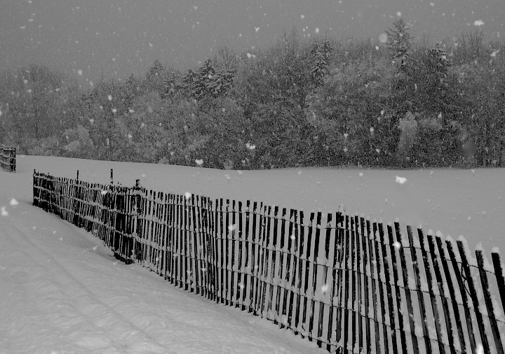 Snowscape