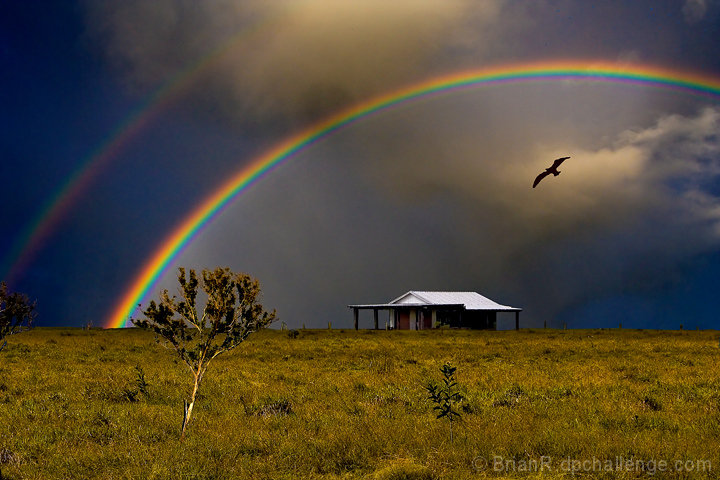 Under the Rainbow