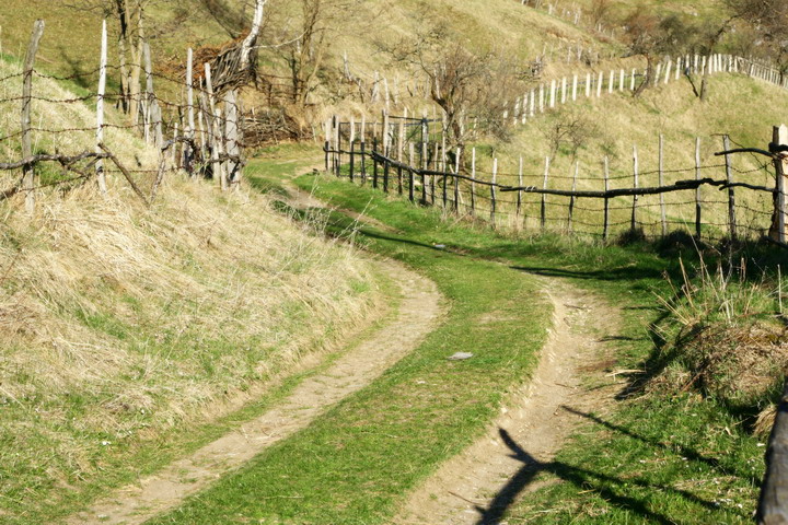 Country road ...