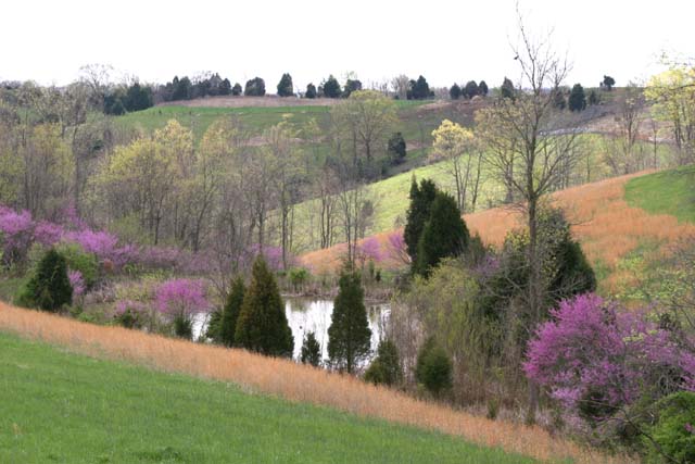 Tennessee Landscapes