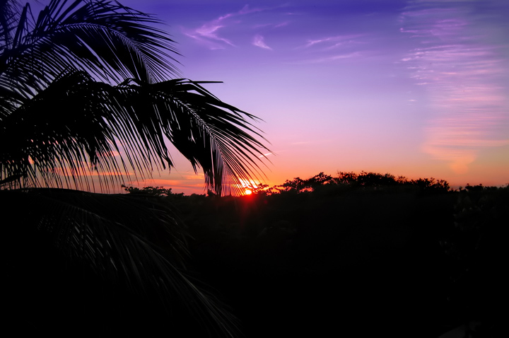 Punta Cana Paradise