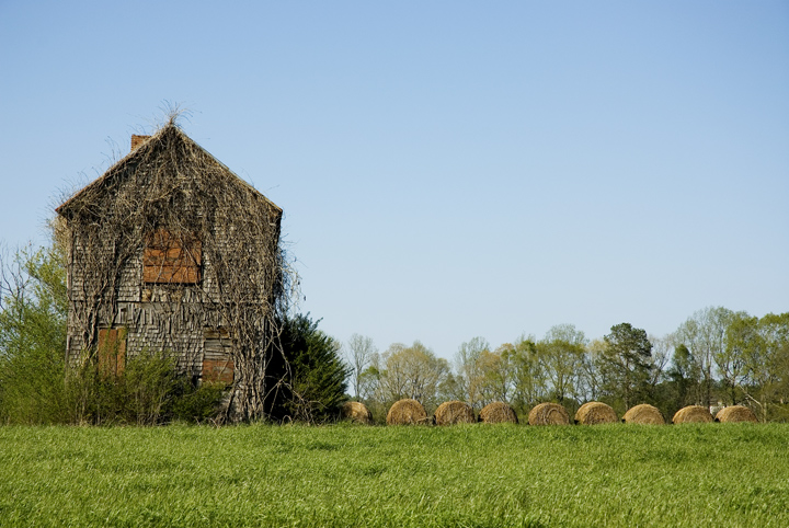 Lonely Old Farmhouse