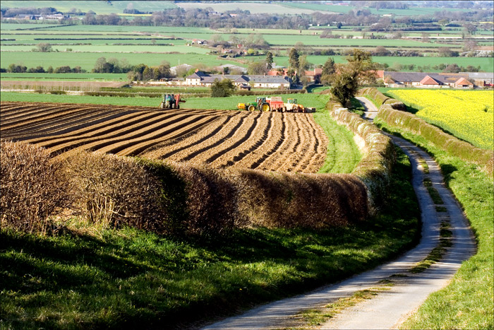 Farming the Land