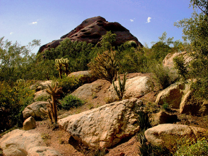 Desert Rocks