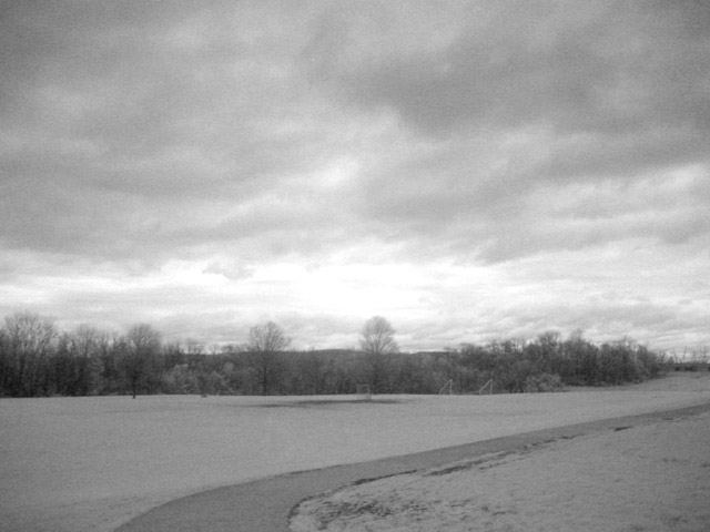 Windy day after a storm