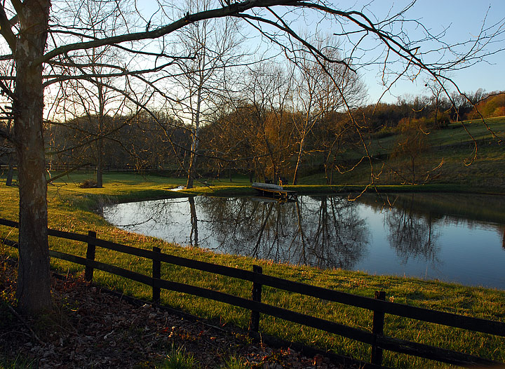 The Pond at Dawn