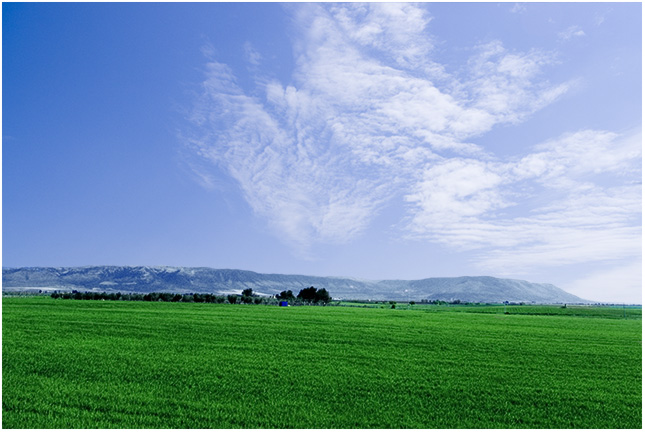 Puglia