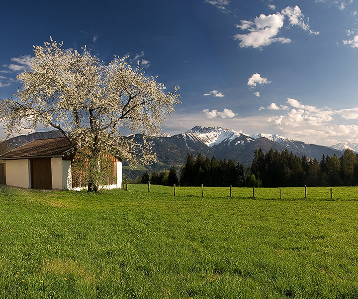 Austrian Alps