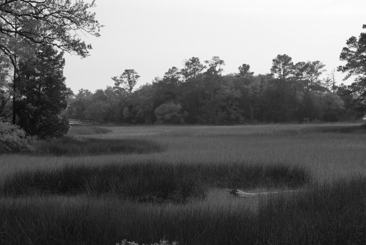 Across the marsh