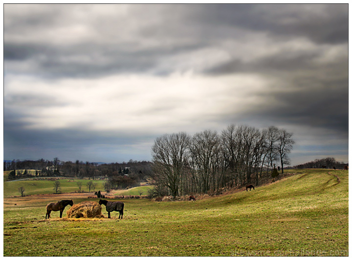 Early Vernal Pastorale