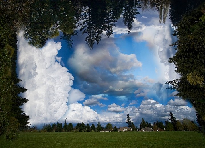 Trees and Sky