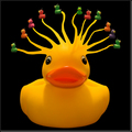 Just one look at the beautiful Duckusa and you risk being turned into a brightly coloured stone duck
