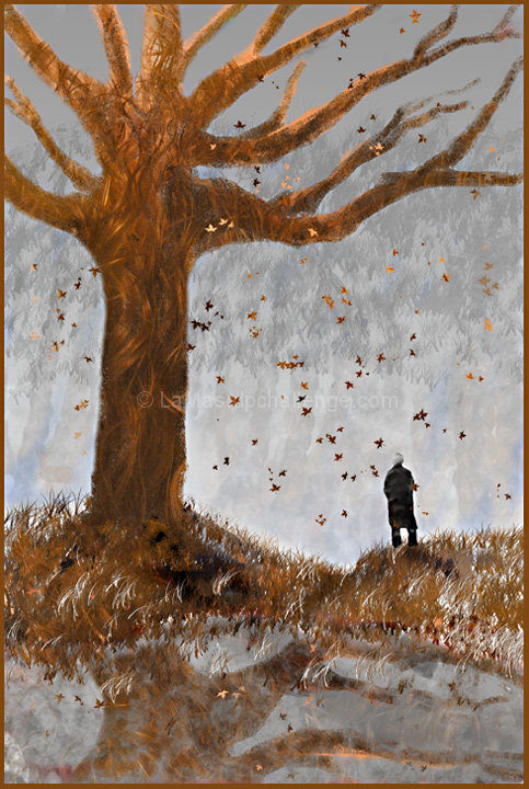The Tale of Tress-Lock Forest (enitrely of hair!)