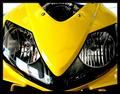 CBR Nose Cone