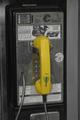 I See Yellow Everywhere!
