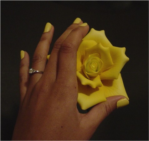 Yellow rose, yellow tips