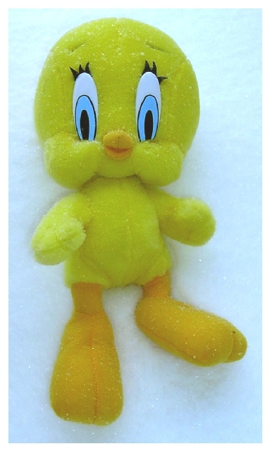 Tweety in the Snow