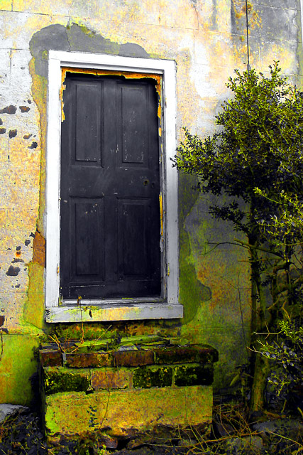 Old Door / Charleston, SC