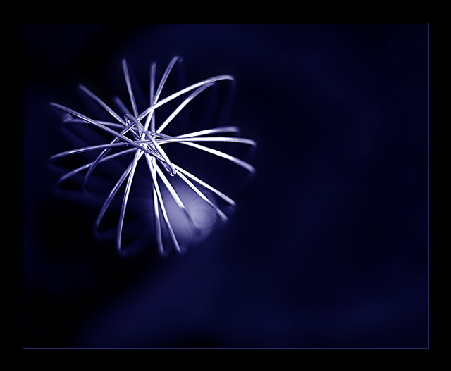 Whisk in Blue