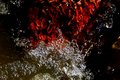 Flaming Bubbles