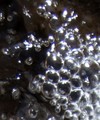 Ramapo River Tributary Bubbles