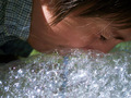 Bubble Eye