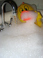 Toys take baths too :O)