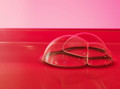 Bubbles in pink and red