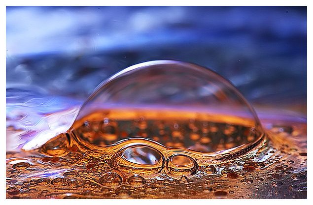 Portrait of a bubble