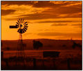 In The OutBack
