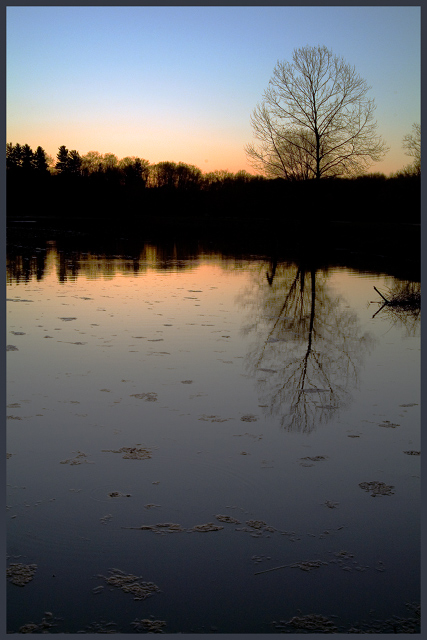Twilight At Lake Logan