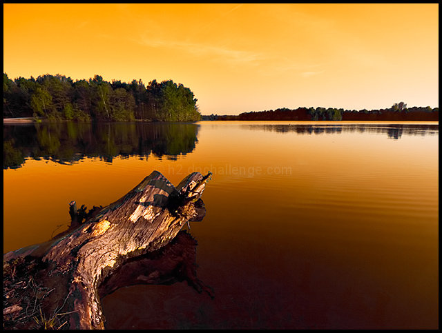 Solitude