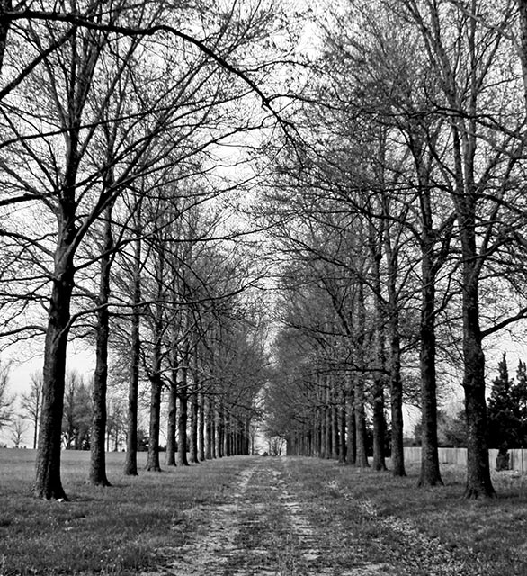 Through the Gated Entrance