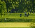 Idyllic Sport