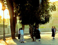 freeze tag late afternoon jerusalem