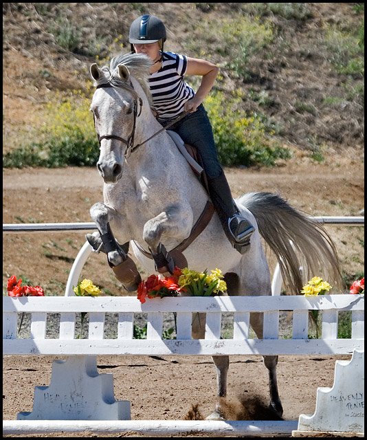 Vinnie and Liz...Flying High!