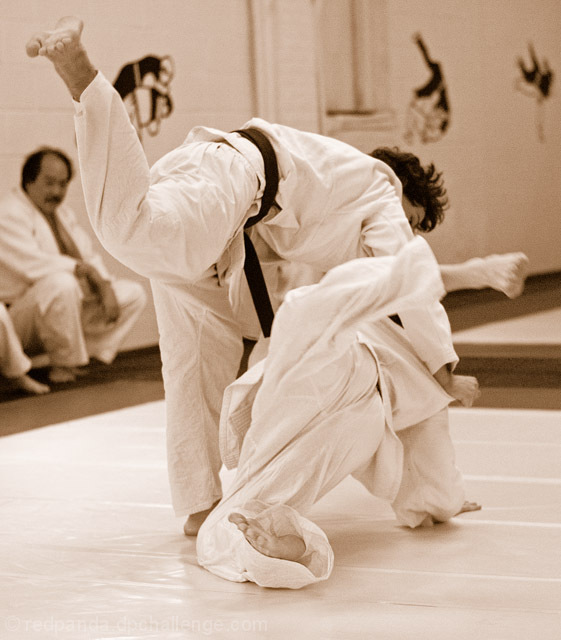 "The Gentle Way"  (a.k.a. Judo)