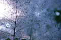 Winter in May