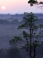 Daniel Boone National Forest
