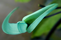 Droplet