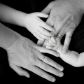 Love of a Family