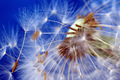 Explode
