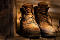 Old Boots in Dappled Shade