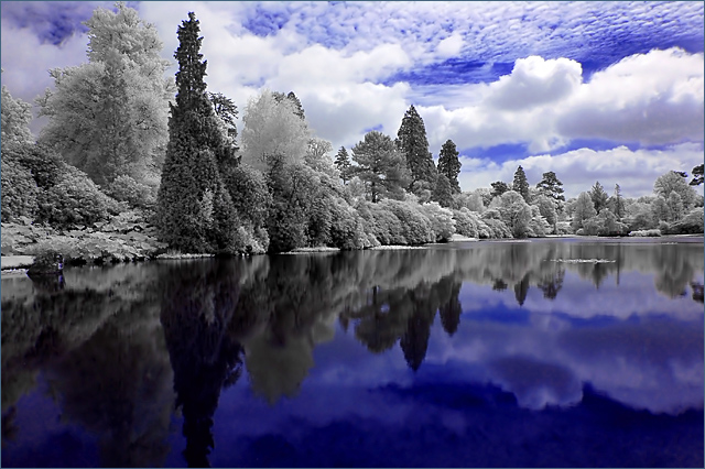 Reflections