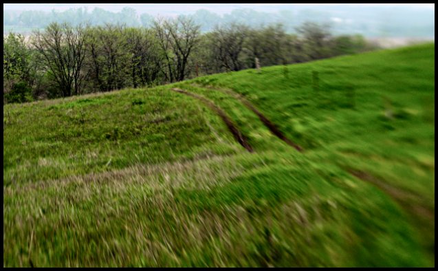 The Path (Lensbaby)