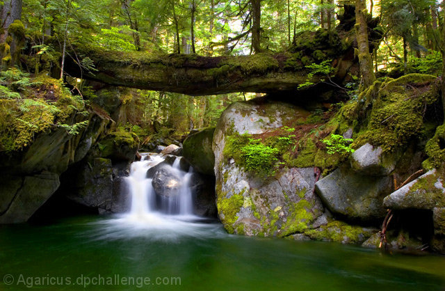 Intimate Waters Flow...