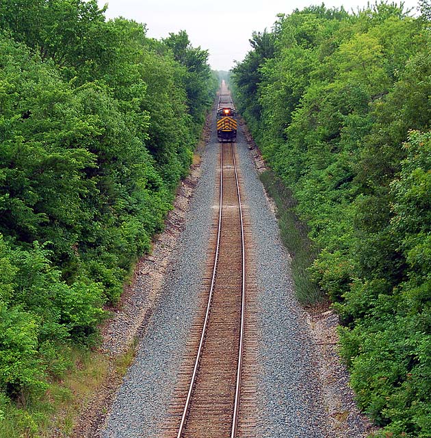 Long Train Coming