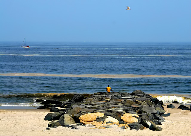 A Bird, A Boat, A Boy